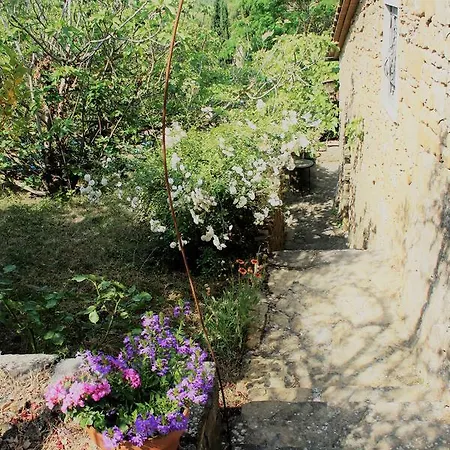 Il Fico In Chianti