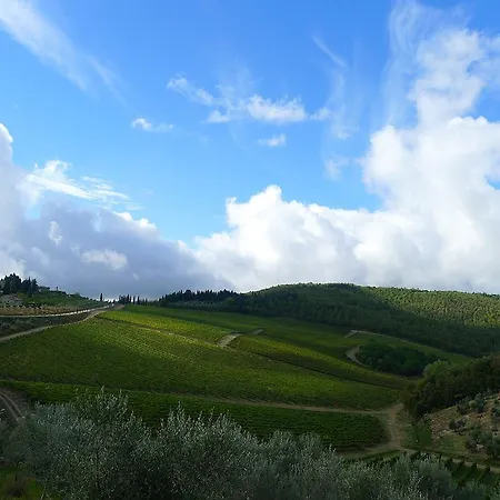 Il Fico In Chianti Holiday home *